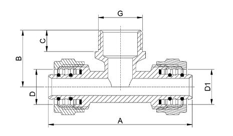 BF207 Grandeco 1