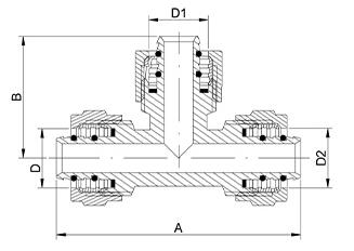 BF209 DIMENSO 1