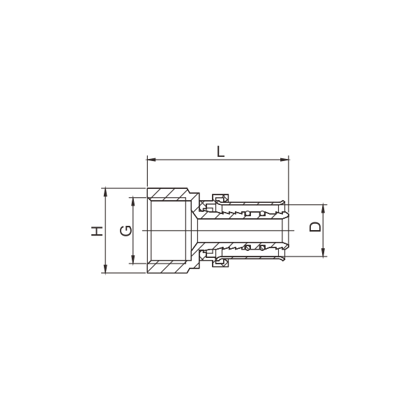 BF302-D BRASS PRESS STRAIGHT FEMALE COUPLER FITTING