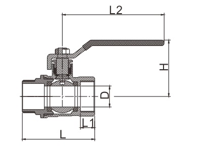 BV502 SIZE