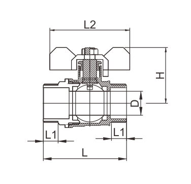 BV506 Iwọn