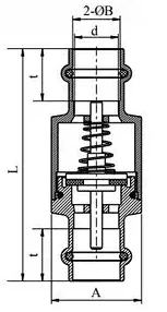 CV002-D BRASS orisun omi Ṣayẹwo àtọwọdá TẸ pari