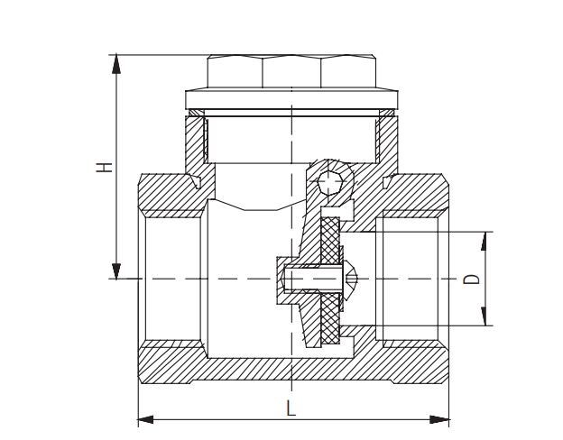 CV204-D ब्रास स्विङ चेक भल्भ