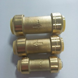 PPF014-2 BRASS PUSH FIT ກວດສອບວາວ